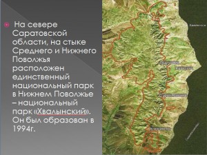 Нац. парк 300x225 Презентация   Национальный парк Хвалынский