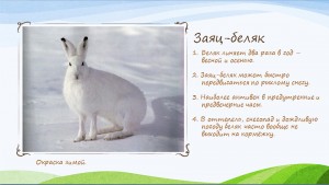През2 300x169 Детская презентация   Я познаю природу