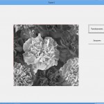 change color gray10 150x150 Как сделать базу данных в бесплатном аналоге Delphi   в среде разработки Lazarus